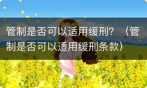 管制是否可以适用缓刑？（管制是否可以适用缓刑条款）