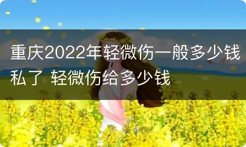 重庆2022年轻微伤一般多少钱私了 轻微伤给多少钱