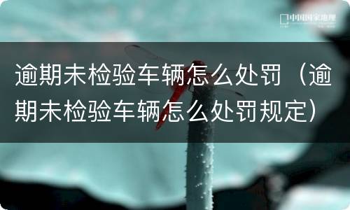 逾期未检验车辆怎么处罚（逾期未检验车辆怎么处罚规定）