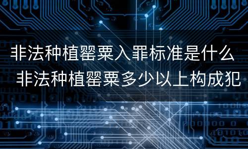 非法种植罂粟入罪标准是什么 非法种植罂粟多少以上构成犯罪