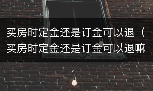 买房时定金还是订金可以退（买房时定金还是订金可以退嘛）