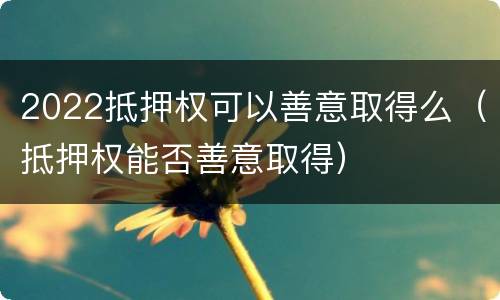 2022抵押权可以善意取得么（抵押权能否善意取得）