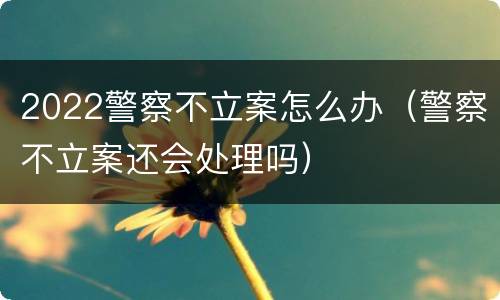 2022警察不立案怎么办（警察不立案还会处理吗）