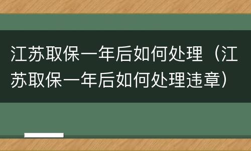 江苏取保一年后如何处理（江苏取保一年后如何处理违章）