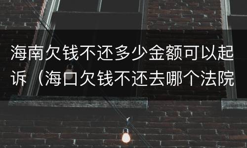 海南欠钱不还多少金额可以起诉（海口欠钱不还去哪个法院起诉）