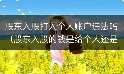 股东入股打入个人账户违法吗（股东入股的钱是给个人还是给公司）