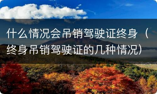 什么情况会吊销驾驶证终身（终身吊销驾驶证的几种情况）