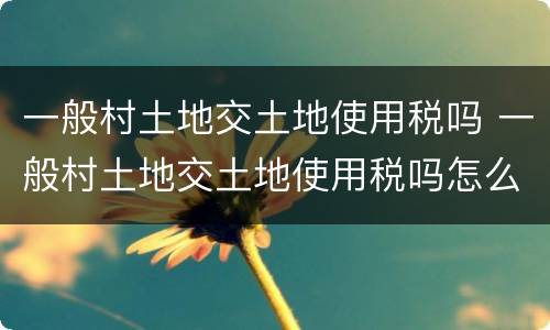 一般村土地交土地使用税吗 一般村土地交土地使用税吗怎么交