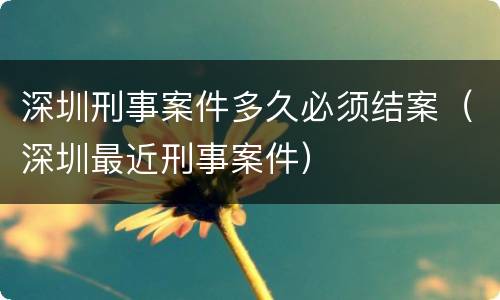 深圳刑事案件多久必须结案（深圳最近刑事案件）