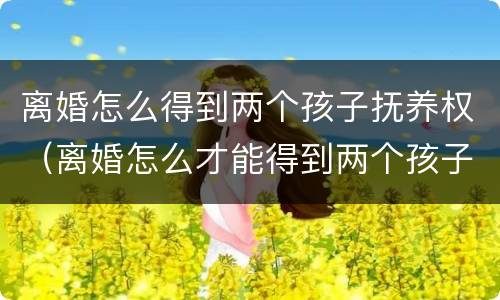 离婚怎么得到两个孩子抚养权（离婚怎么才能得到两个孩子的抚养权）