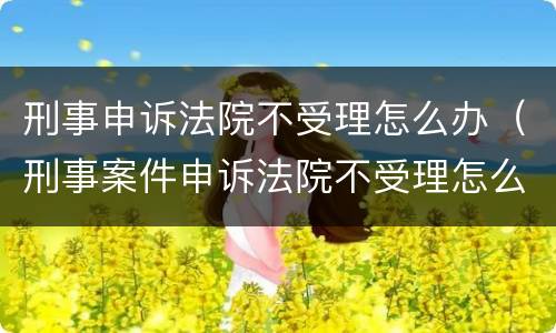 刑事申诉法院不受理怎么办（刑事案件申诉法院不受理怎么办）