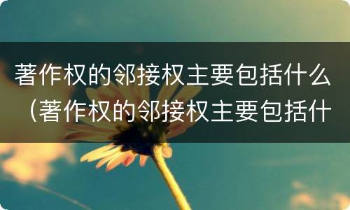 著作权的邻接权主要包括什么（著作权的邻接权主要包括什么内容）