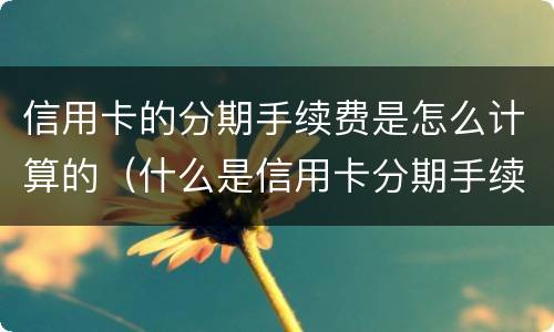 信用卡的分期手续费是怎么计算的（什么是信用卡分期手续费）