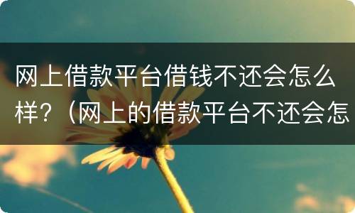 网上借款平台借钱不还会怎么样?（网上的借款平台不还会怎么样）