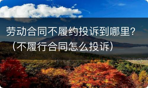 劳动合同不履约投诉到哪里？（不履行合同怎么投诉）