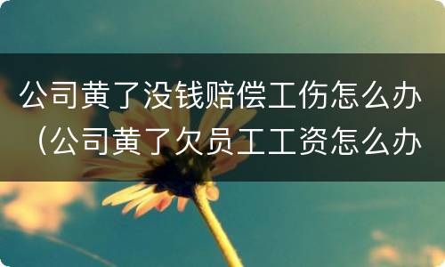 公司黄了没钱赔偿工伤怎么办（公司黄了欠员工工资怎么办）