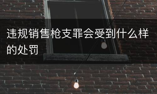 违规销售枪支罪会受到什么样的处罚