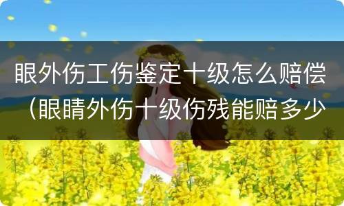 眼外伤工伤鉴定十级怎么赔偿（眼睛外伤十级伤残能赔多少钱）