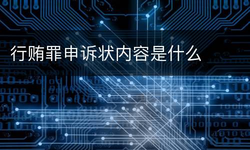 行贿罪申诉状内容是什么