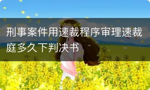 刑事案件用速裁程序审理速裁庭多久下判决书