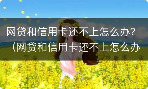 网贷和信用卡还不上怎么办？（网贷和信用卡还不上怎么办）
