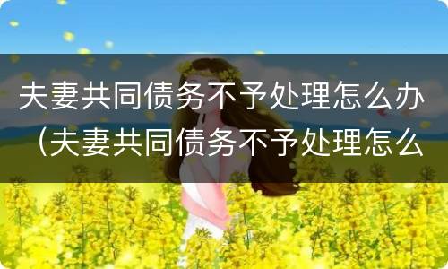 夫妻共同债务不予处理怎么办（夫妻共同债务不予处理怎么办呢）