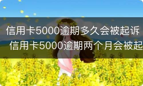 信用卡5000逾期多久会被起诉 信用卡5000逾期两个月会被起诉吗