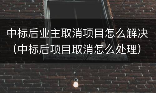 中标后业主取消项目怎么解决（中标后项目取消怎么处理）