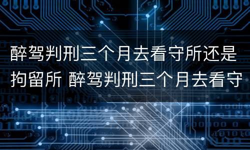 醉驾判刑三个月去看守所还是拘留所 醉驾判刑三个月去看守所还是拘留所呢