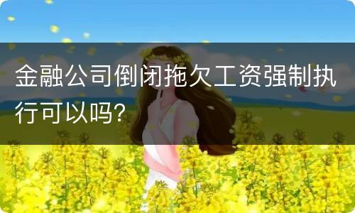金融公司倒闭拖欠工资强制执行可以吗？