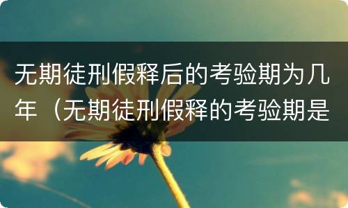 无期徒刑假释后的考验期为几年（无期徒刑假释的考验期是多久）
