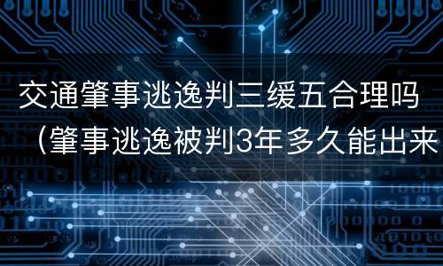 交通肇事逃逸判三缓五合理吗（肇事逃逸被判3年多久能出来）