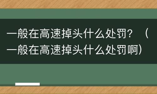 一般在高速掉头什么处罚？（一般在高速掉头什么处罚啊）