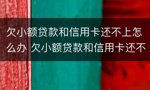 欠小额贷款和信用卡还不上怎么办 欠小额贷款和信用卡还不上怎么办呢