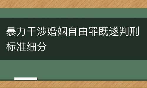 暴力干涉婚姻自由罪既遂判刑标准细分