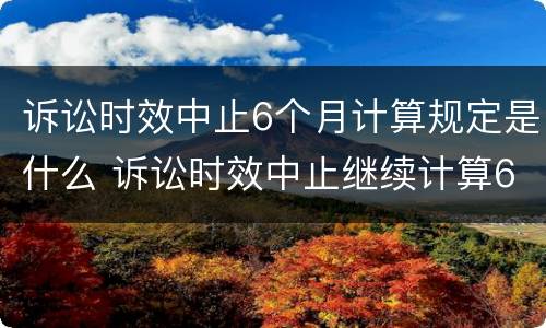 诉讼时效中止6个月计算规定是什么 诉讼时效中止继续计算6个月
