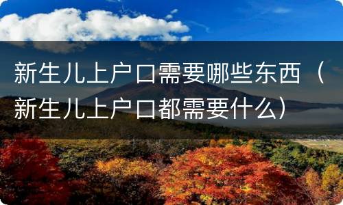 新生儿上户口需要哪些东西（新生儿上户口都需要什么）