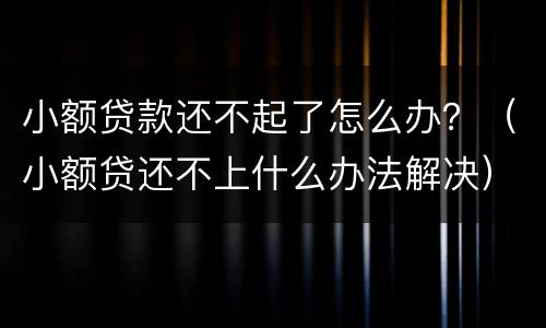小额贷款还不起了怎么办？（小额贷还不上什么办法解决）