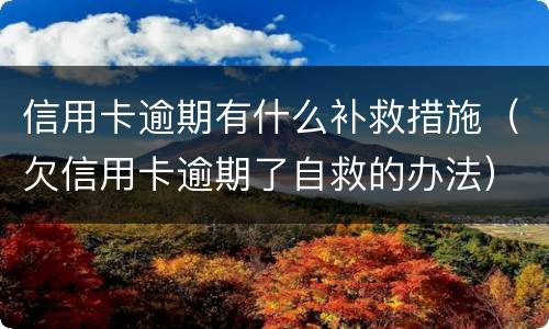 信用卡逾期有什么补救措施（欠信用卡逾期了自救的办法）