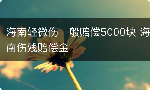 海南轻微伤一般赔偿5000块 海南伤残赔偿金