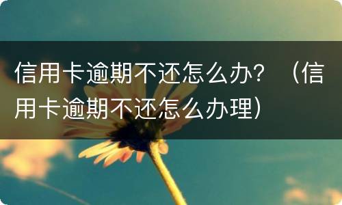 信用卡逾期不还怎么办？（信用卡逾期不还怎么办理）