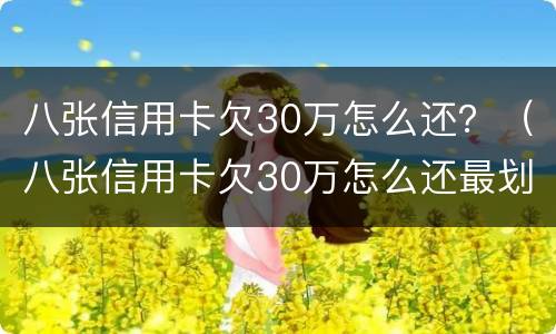 八张信用卡欠30万怎么还？（八张信用卡欠30万怎么还最划算）