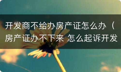 开发商不给办房产证怎么办（房产证办不下来 怎么起诉开发商）