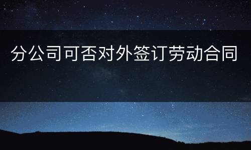 分公司可否对外签订劳动合同