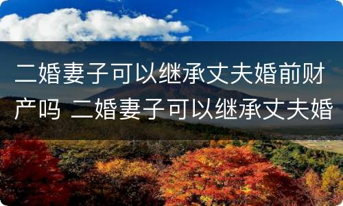 二婚妻子可以继承丈夫婚前财产吗 二婚妻子可以继承丈夫婚前财产吗