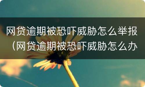 网贷逾期被恐吓威胁怎么举报（网贷逾期被恐吓威胁怎么办）