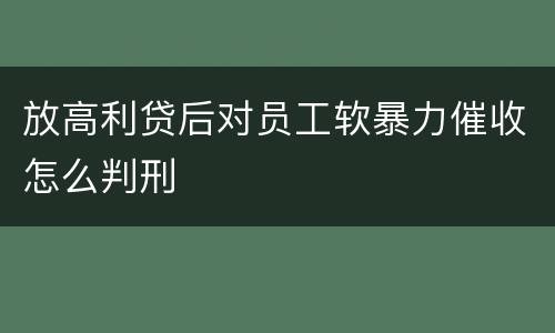放高利贷后对员工软暴力催收怎么判刑