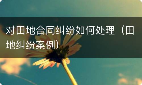 对田地合同纠纷如何处理（田地纠纷案例）