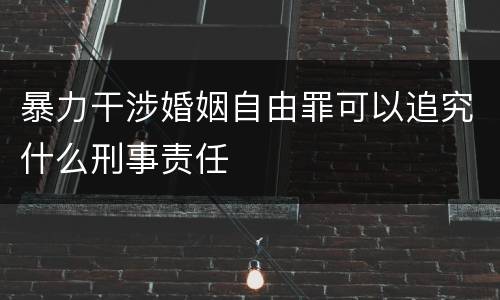 暴力干涉婚姻自由罪可以追究什么刑事责任