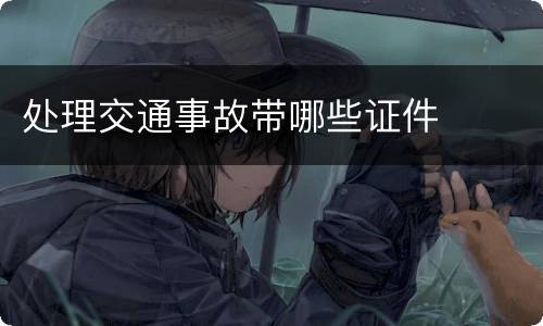 处理交通事故带哪些证件